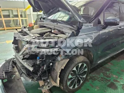 2021, Kia / Carnival, VIN: KNANC81BBMS014092, diesel