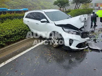 2019, Kia / Sorento, 88868 км., diesel, 1995 куб.см.