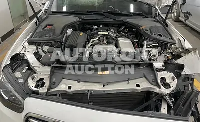 2021, Mercedes-Benz / E 250, VIN: W1KZF4FB2MA925648, 43100 км., gas