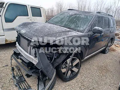 2024, Hyundai / Santa FE, VIN: KMHP381LGRU021822, gas