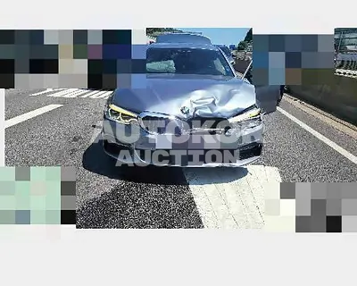 2017, BMW / 530, 53784 км., gas, 1998 куб.см.
