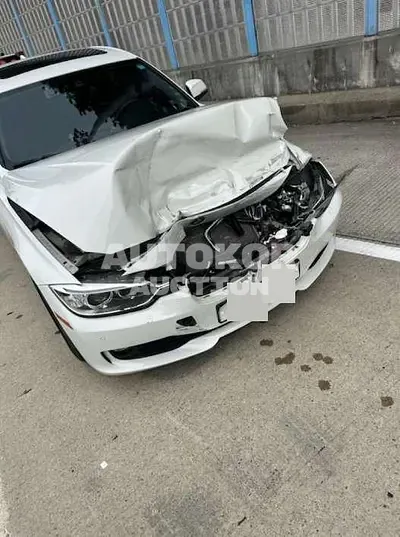 2015, BMW / 320, 80791 км., diesel, 1995 куб.см.