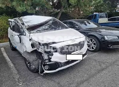 2018, Kia / Carnival, VIN: KNAMB81ABJS417601, 62858 км., diesel