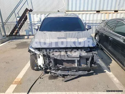 2019, Hyundai / Santa FE, VIN: KMHS381BBKU087945, 87178 км., diesel
