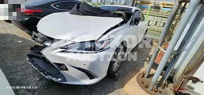 2018, Lexus / ES 300, hybrid
