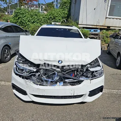 2020, BMW / 530, 54143 км., gas
