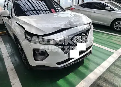 2019, Hyundai / Santa FE, VIN: KMHS381CDKU013123, 73309 км., diesel