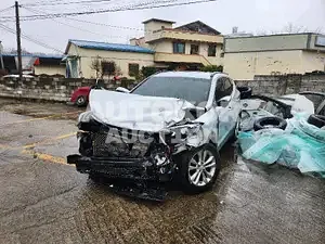 2017, Hyundai / Santa FE, VIN: KMHSW81UBHU750045, diesel
