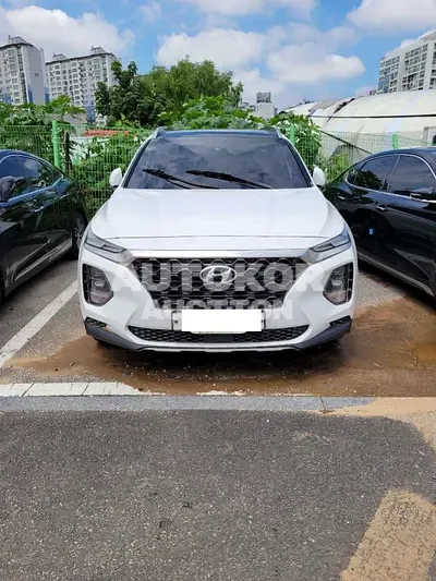 2019, Hyundai / Santa FE, VIN: KMHS381BBKU102919, 80000 км., diesel