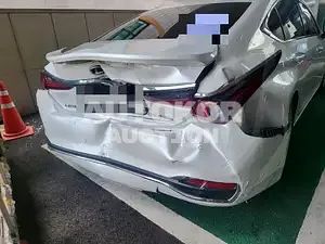 2019, Lexus / ES 300, VIN: JTHB21B10K2039479, 49824 км., hybrid, 2487 куб.см.