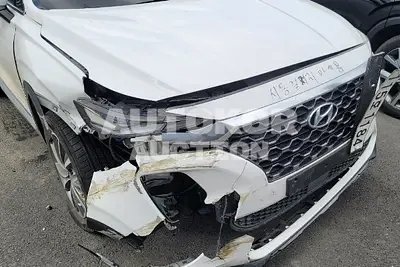 2020, Hyundai / Santa FE, VIN: KMHS281CBLU256464, diesel