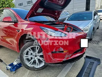 2023, Tesla / Model Y, VIN: 7SAYGDEE2PF641806, electric