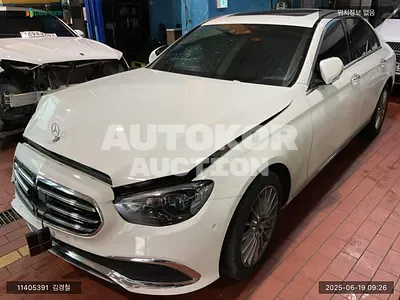2023, Mercedes-Benz / E 250, VIN: W1KZF4FB8PB153204, gas