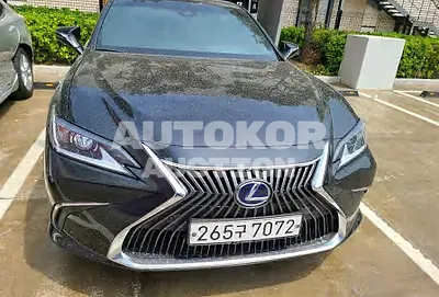 2021, Lexus / ES 300, VIN: JTHBA1C15M2004442, 19500 км., hybrid