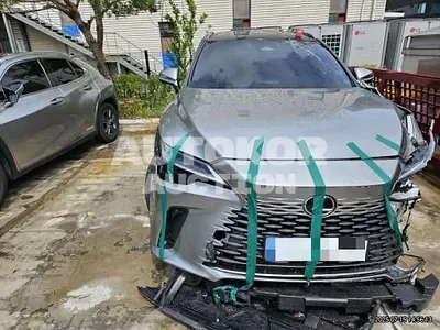 2025, Lexus / RX 450, hybrid