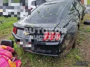 2015, Ford / Mustang, gas