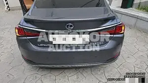 2020, Lexus / ES 300, 98411 км., hybrid