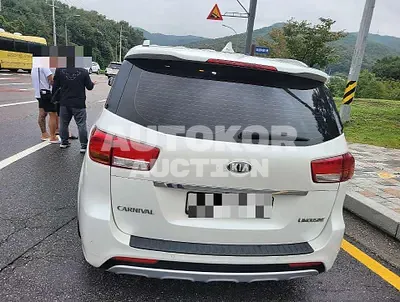 2018, Kia / Carnival, diesel, 2199 куб.см.