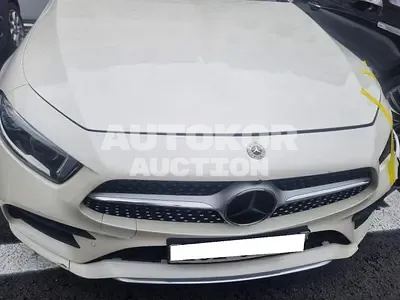 2018, Mercedes-Benz / cls400, VIN: WDD2J2DB0KA011919, 194957 км., diesel, 2925 куб.см.