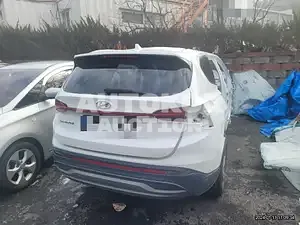 2020, Hyundai / Santa FE, VIN: KMHS281HGMU327223, 100000 км., diesel