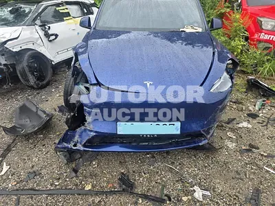 2024, Tesla / Model Y, VIN: LRWYGCFS3RC427142, 60821 км., electric, 1 куб.см.