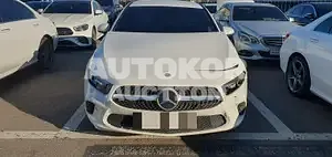 2020, Mercedes-Benz / A 220, 52409 км., gas, 1991 куб.см.