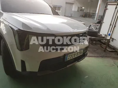 2024, Kia / Sorento, VIN: KNARH81GBRA237082, 6301 км., hybrid