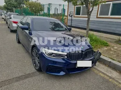 2020, BMW / 530, VIN: WBAJR5101LCD50729, 38963 км., gas