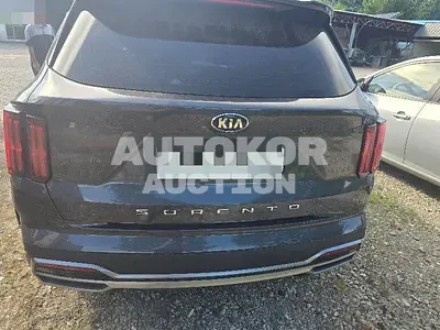 2021, Kia / Sorento, VIN: KNARF81BGMA104641, 93093 км., diesel, 2200 куб.см.