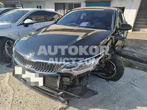 2019, Kia / K5, VIN: KNAGS416BLA358052, 141380 км., lpg