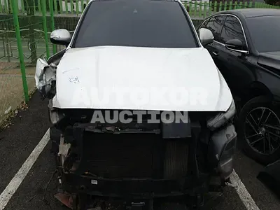 2019, Hyundai / Santa FE, VIN: KMHS581CDKU124309, 234463 км., diesel