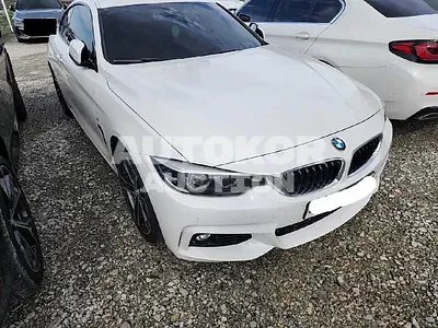 2018, BMW / 420, VIN: WBA4S3109JAG49464, gas