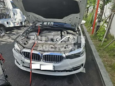 2019, BMW / 520, VIN: WBAJK7101KGL29139, 40950 км., gas