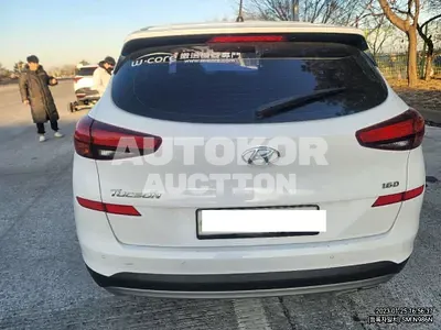 2019, Hyundai / Tucson, VIN: KMHJ2817GKU816019, diesel