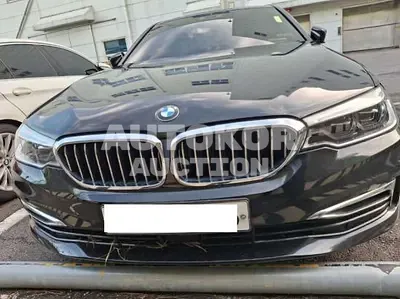 2019, BMW / 530, VIN: WBAJD9108KWW50705, 53211 км., gas