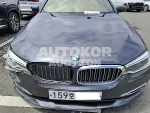 2019, BMW / 520, VIN: WBAJK9103LBR78581, gas