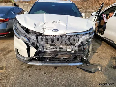 2021, Kia / Carnival, VIN: KNANC813BMS087109, gas