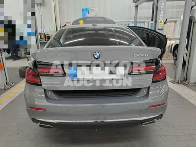 2021, BMW / 520, 32483 км., gas