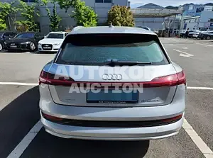 2020, Audi / e-tron, 64463 км., electric