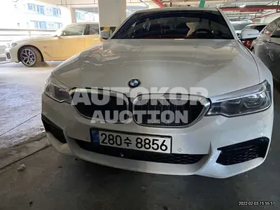 2020, BMW / 520, VIN: WBAJK9105LCE68374, gas