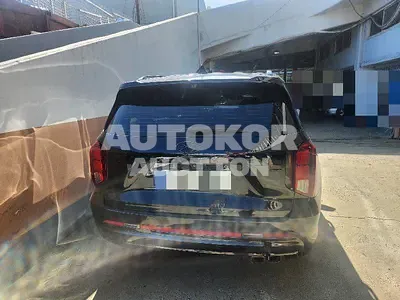 2024, Hyundai / Palisade, 64565 км., gas, 3800 куб.см.