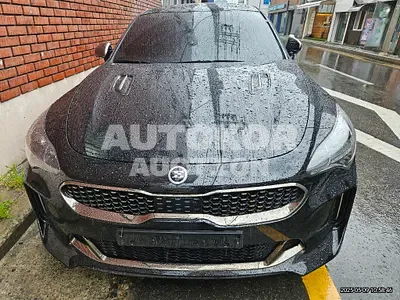 2019, Kia / Stinger, 52918 км., gas, 2000 куб.см.