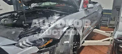 2021, Ford / Mustang, VIN: 1FATP8UH3M5112782, 12264 км., gas