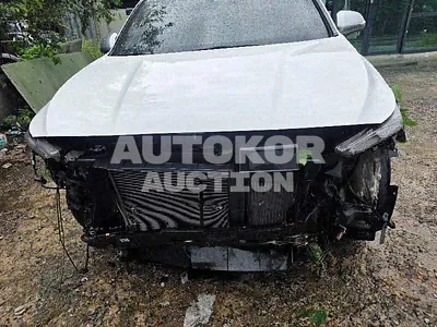 2020, Hyundai / Santa FE, VIN: KMHS581ABLU251458, 73423 км., gas, 1998 куб.см.