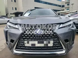 2019, Lexus / UX 250, VIN: JTHY6JBH1K2001609, 107339 км., hybrid, 1987 куб.см.