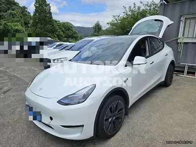 2024, Tesla / Model Y, 40000 км., electric