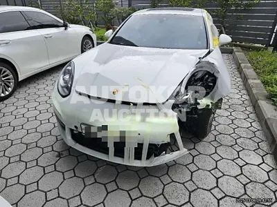 2016, Porsche / Panamera, gas