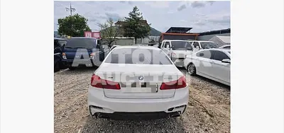 2017, BMW / 530, 150000 км., gas, 1998 куб.см.