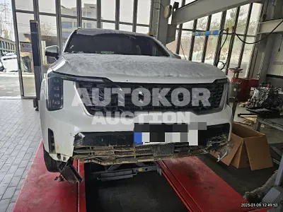 2024, Kia / Sorento, 30593 км., gas