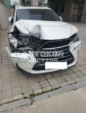 2016, Lexus / NX 300, VIN: JTJBJRBZ5H2053053, 124666 км., hybrid, 2494 куб.см.